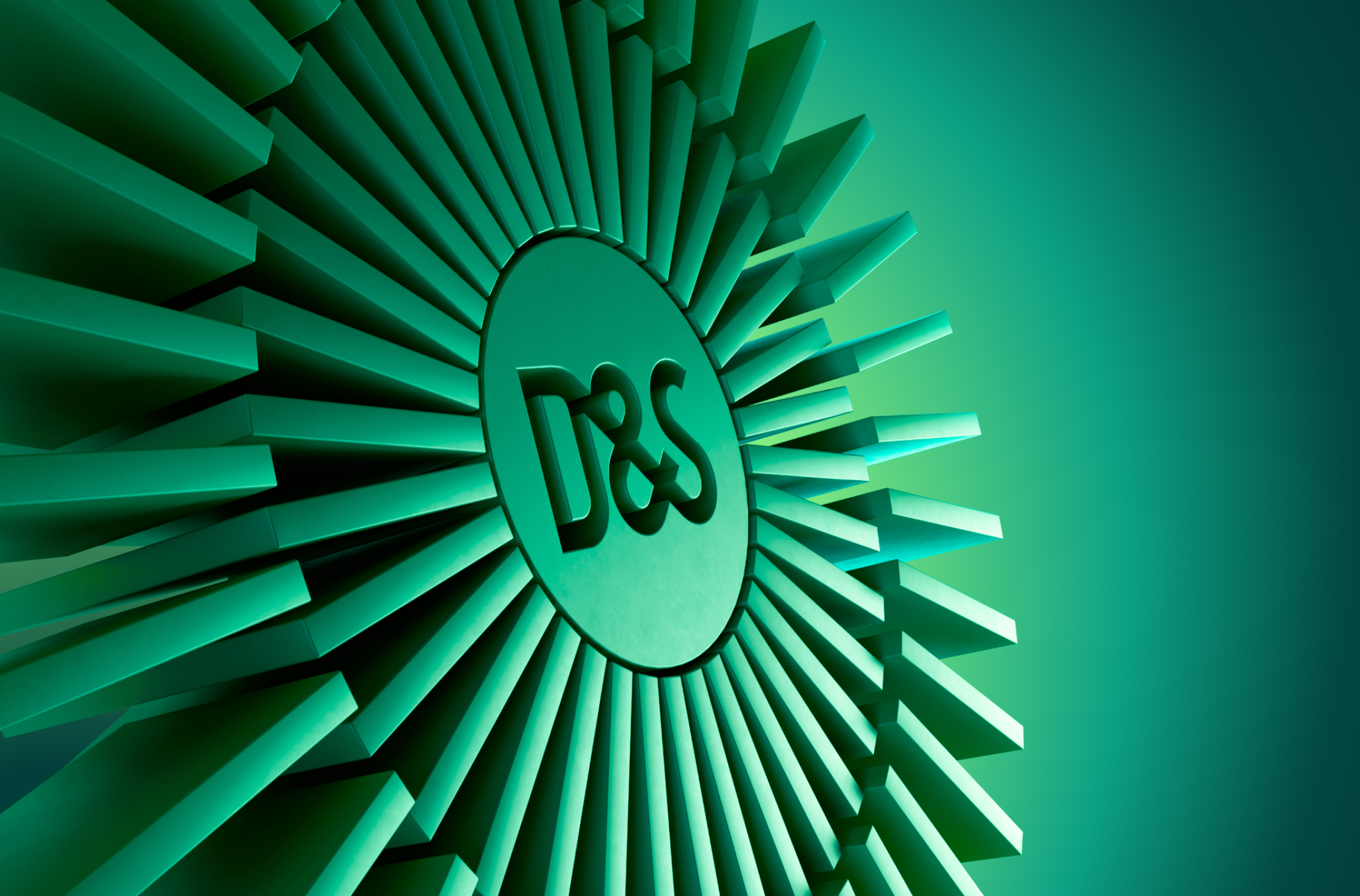 D&S 3d en 2d aniamtie huisstijl element ontwerp