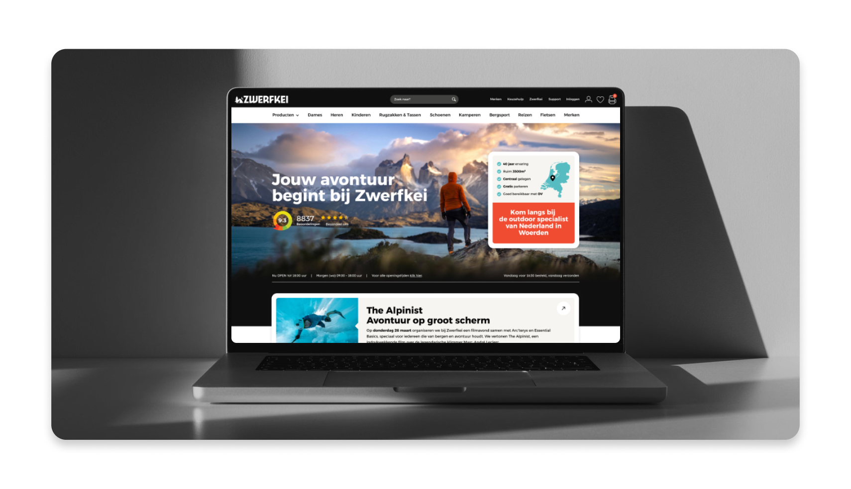 Webdesign mockup voor Zwerfkei